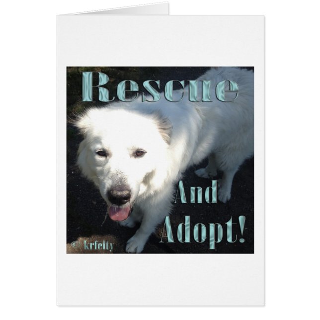 Rescue and Adopt! (Front)