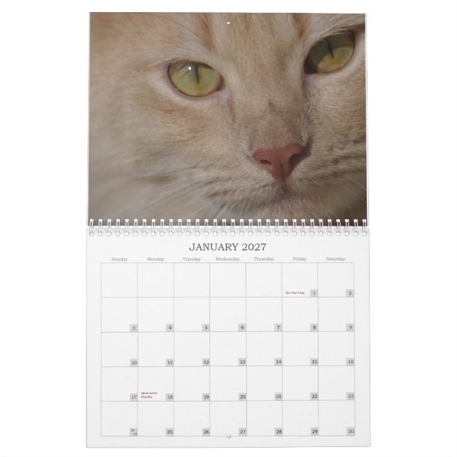 Rescue animals Calendar (Jan 2027)