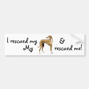 Rescue Azawakh Bumper Sticker