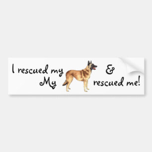 Rescue Belgian Malinois Bumper Sticker