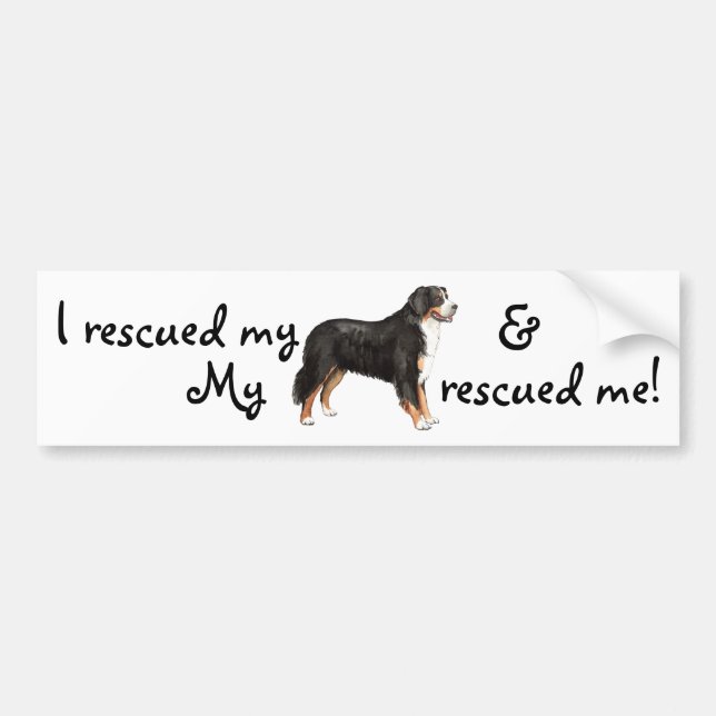 Rescue Bernese Mountain Dog Bumper Sticker (Front)