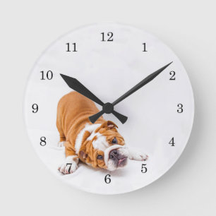 Rescue Boxer Puppy Round Clock