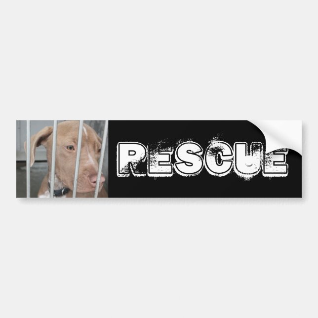Rescue Bumper Sticker (Front)