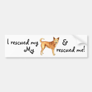 Rescue Canaan Dog Bumper Sticker