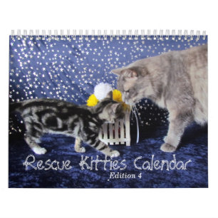 Rescue Cat Calendar - Edition 4