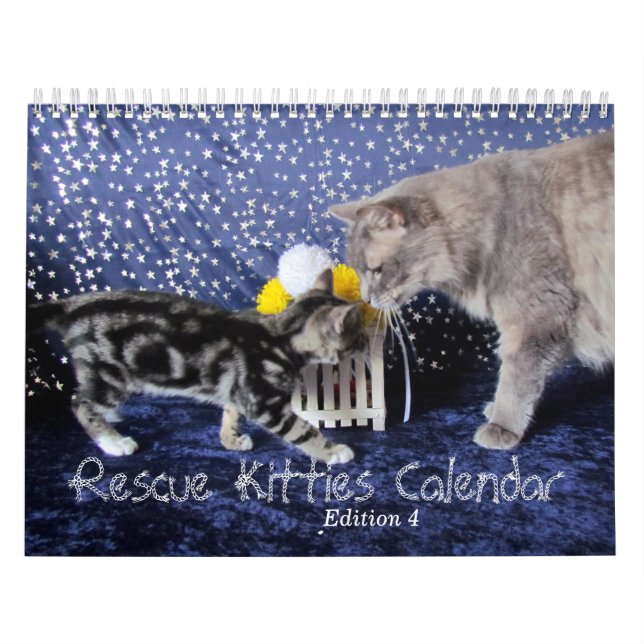 Rescue Cat Calendar - Edition 4 (Cover)