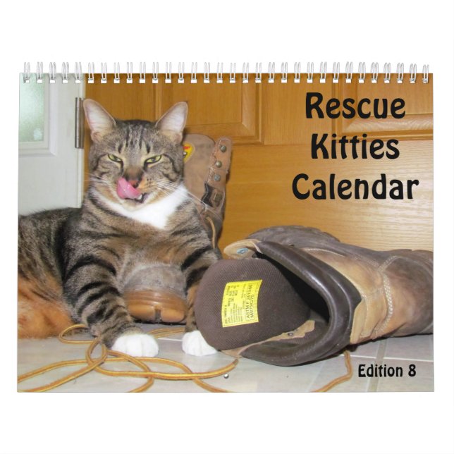 Rescue Cat Calendar - Edition 8 (Cover)