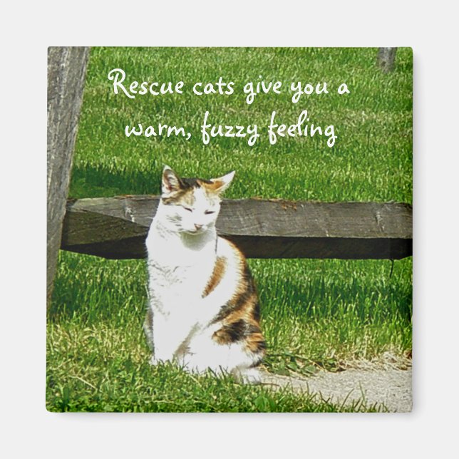 Rescue cats give you a warm, fuzzy feeling Magnet (Front)