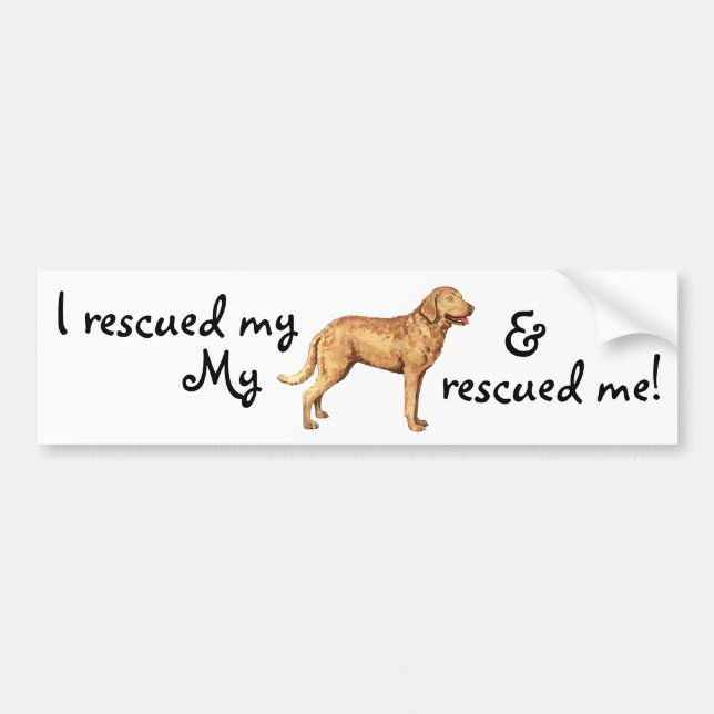 Rescue Chesapeake Bay Retriever Bumper Sticker (Front)