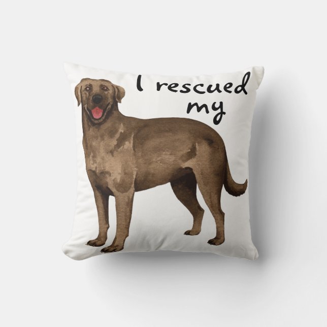 Rescue Chocolate Lab Cushion (Front)