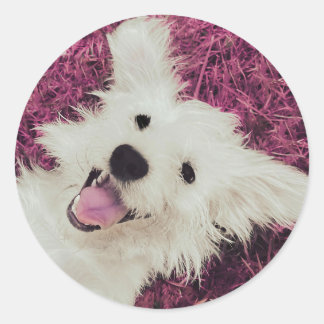 Rescue Dog Classic Round Sticker