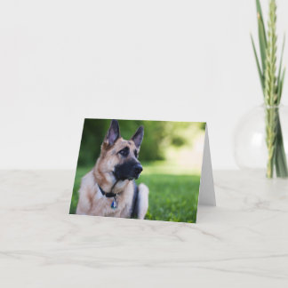 Rescue Dog "Link" Card