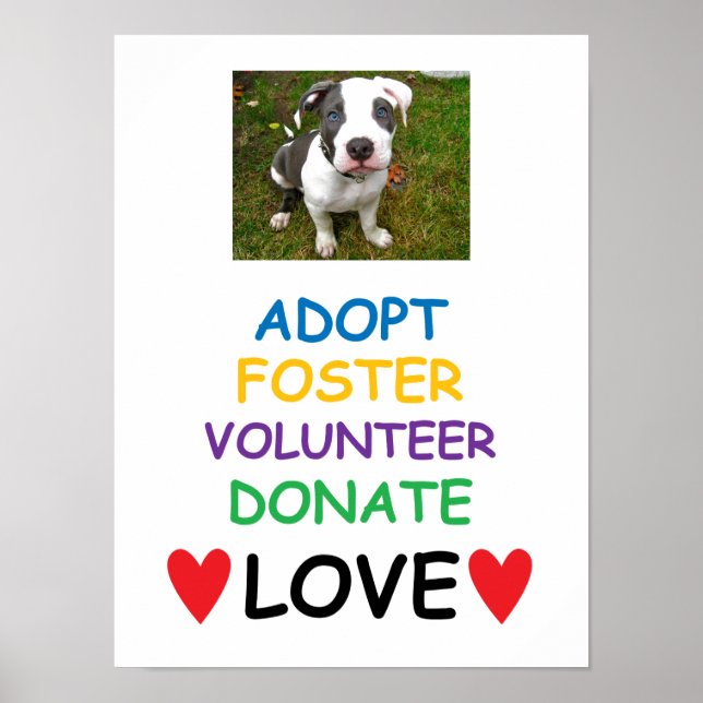Rescue Dog Poster, Adopt Love Poster (Front)