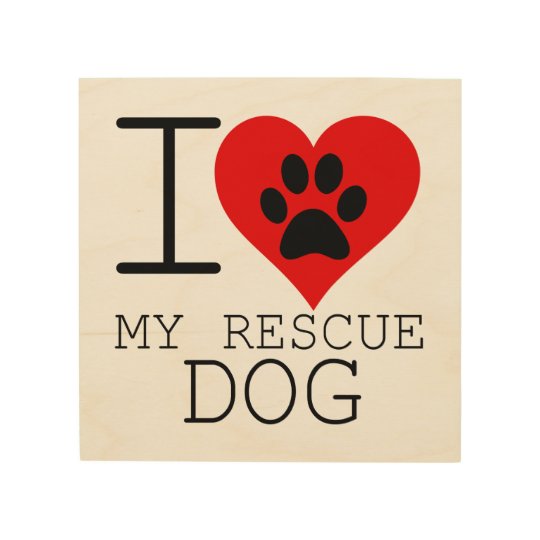 Rescue dog wood wall art | Zazzle.co.uk
