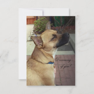 Rescue Dogs 3.5" x 5" Flat Thank You Card