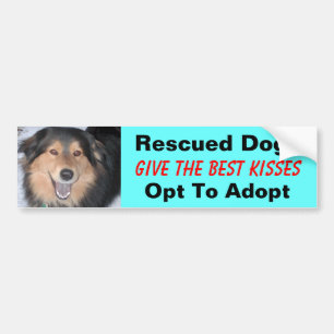 Rescue Dogs Give the Best Kisses!... Bumper Sticker