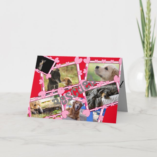 Rescue Dogs Holiday Card (Front)
