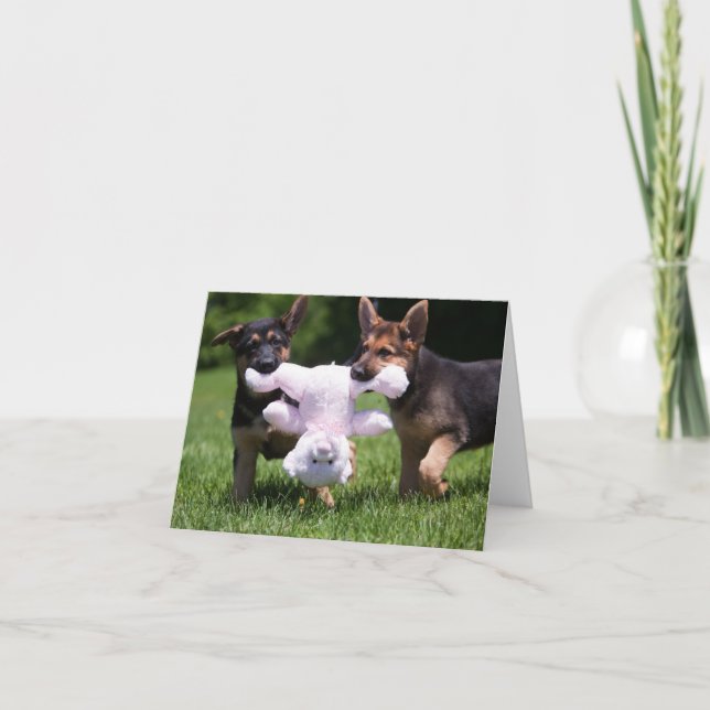 Rescue Dogs "Sammi" and "Rilie" Card (Front)