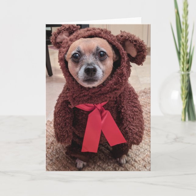 Rescue Dogs Standard, 5" x 7" Folded Greeting Card (Front)