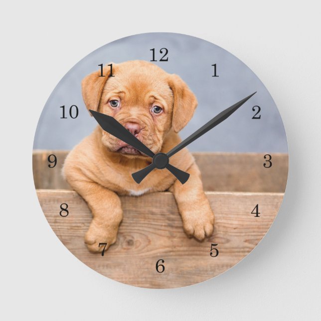 Rescue  Dogue de Bordeaux Puppy French mastiff Round Clock (Front)