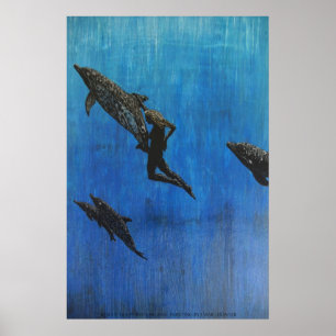 Rescue dolphin's poster