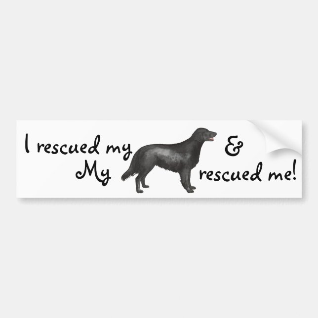 Rescue Flat-Coated Retriever Bumper Sticker (Front)