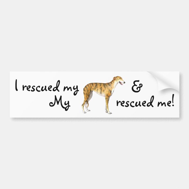 Rescue Greyhound Bumper Sticker (Front)