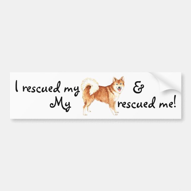 Rescue Icelandic Sheepdog Bumper Sticker (Front)