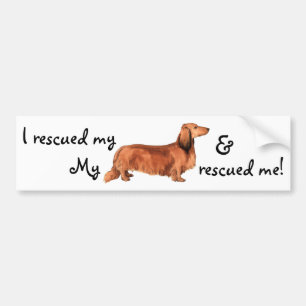 Rescue Longhaired Dachshund Bumper Sticker
