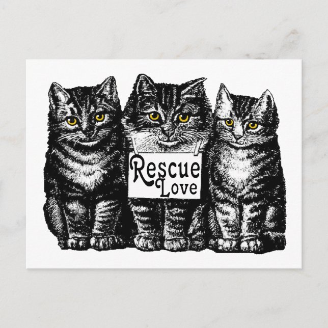 rescue love postcard (Front)