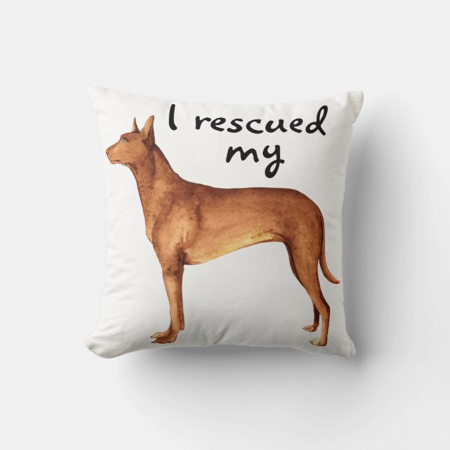 Rescue Pharaoh Hound Cushion (Front)