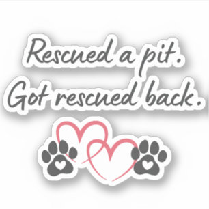 Rescue Pit Got Rescued Back   Pitbull Dog Mom Life