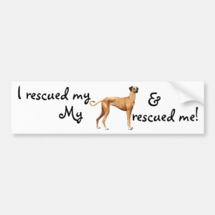 Rescue Sloughi Bumper Sticker