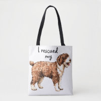 Rescue Spanish Water Dog
