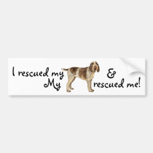 Rescue Spinone Bumper Sticker
