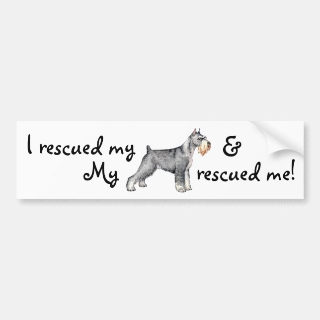 Rescue Standard Schnauzer Bumper Sticker (Front)