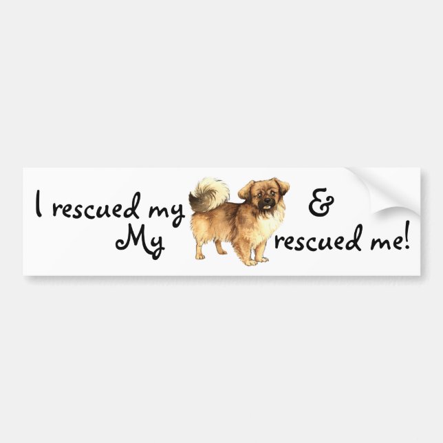 Rescue Tibetan Spaniel Bumper Sticker (Front)
