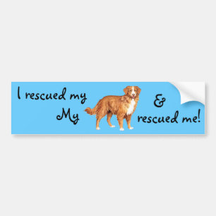 Rescue Toller Bumper Sticker