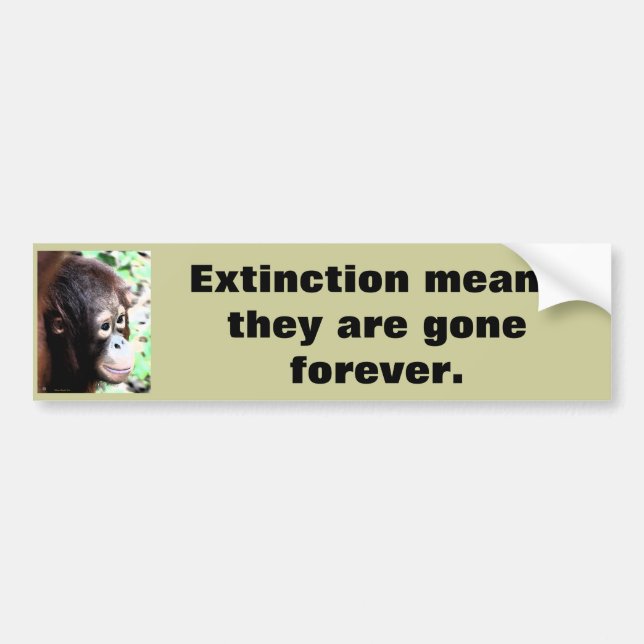 Rescue Wildlife from Extinction Bumper Sticker (Front)