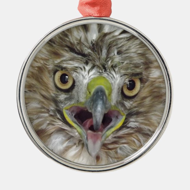 Rescued and Released Hawk Metal Tree Decoration (Front)