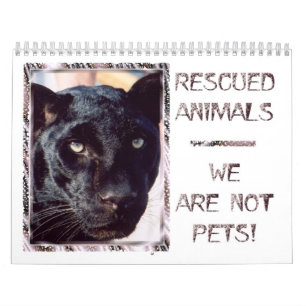 Rescued Animals Calendar
