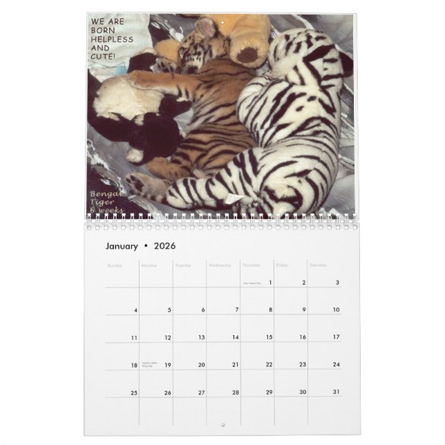 Rescued Animals - We are Not Pets Calendar (Jan 2026)