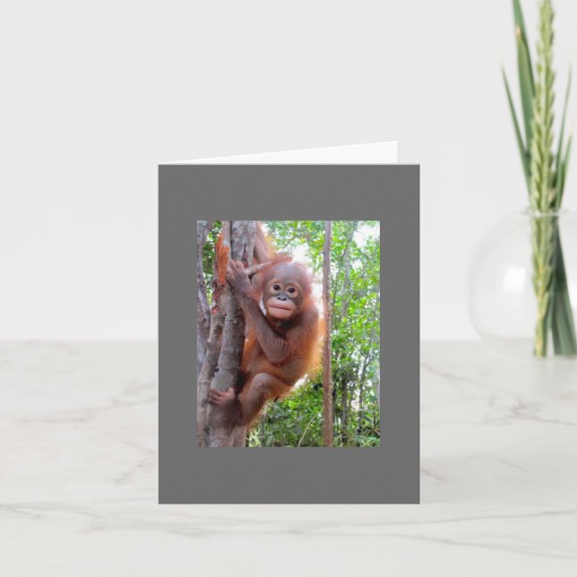 Rescued Baby Orangutan Uttuh Card (Front)