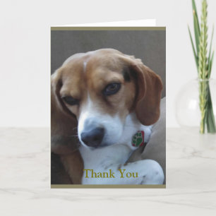 Rescued Beagle "Sunny" Thank You Card