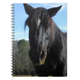 Rescued Black Draft Horse Notebook