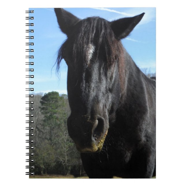 Rescued Black Draft Horse Notebook (Front)