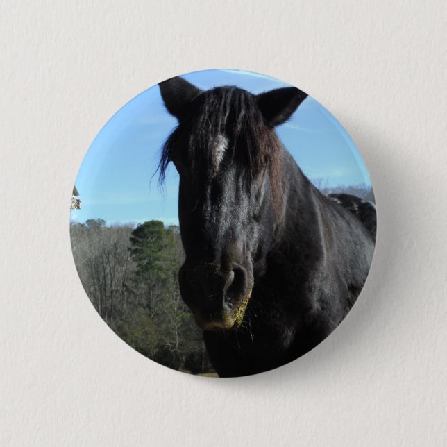 Rescued Black Draught Horse 6 Cm Round Badge (Front)