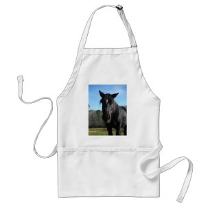 Rescued Black Draught Horse Standard Apron
