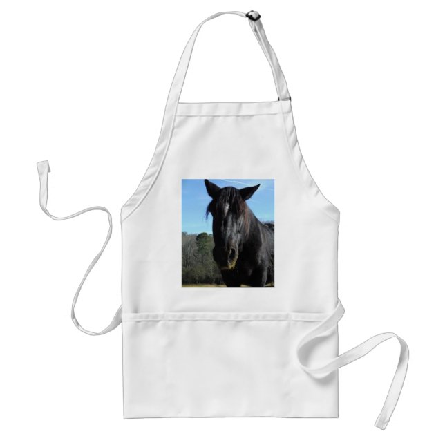 Rescued Black Draught Horse Standard Apron (Front)