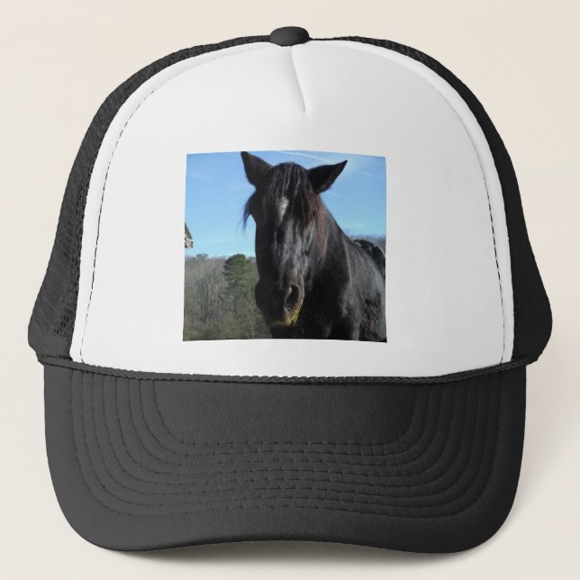 Rescued Black Draught Horse Trucker Hat (Front)